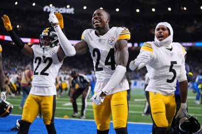 article image - Steelers Lions Football